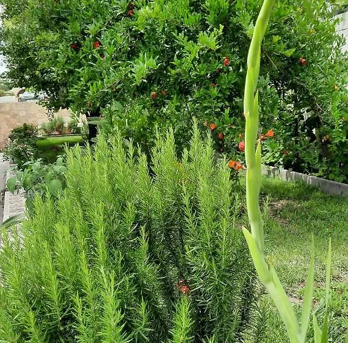 Antonio Appartement *